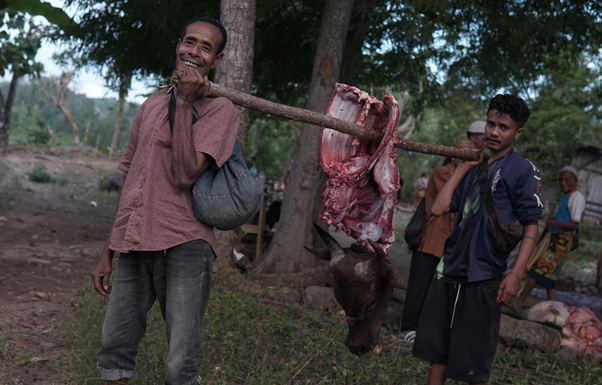 kurban rois ojk 10 dompet dhuafa Man carrying a large piece of meat on a wooden pole over his shoulder in a rural outdoor setting, as several onlookers stand nearby.