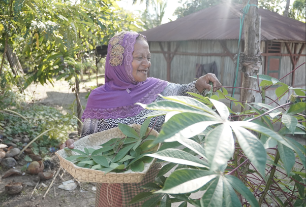 kurban rois ojk 15 dompet dhuafa An elderly woman in a purple headscarf gathers leaves in a woven basket in a sunny rural garden.
