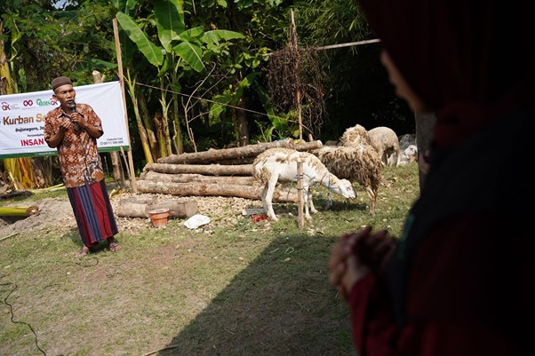 kurbanroisojk3 dompet dhuafa Man in traditional clothing speaks into a microphone beside grazing sheep and a banner at a Kurban festival event.