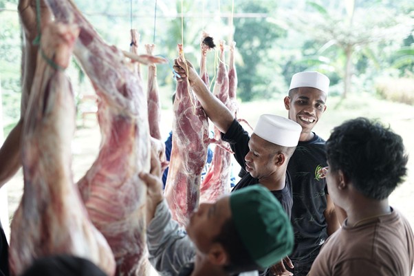 kurban tokopedia 5 dompet dhuafa Proses pemotongan hewan kurban pada program THK 1447 H di Pondok Pesantren Darul Rasul 2, Cibadak, Sukamakmur, Jawa Barat.