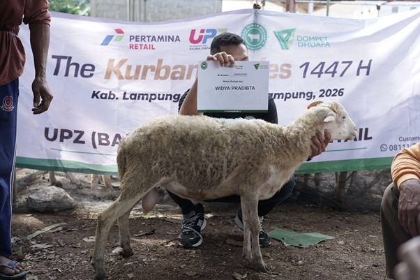 kurban upz bazma 2 dompet dhuafa Person crouching behind a sheep at a livestock event, holding a sign with'Widya Prabita' in front of a large banner.