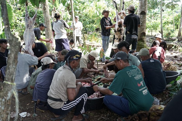 kurban upz bazma 5 dompet dhuafa Group of men in a forest clearing processing meat around a large tub, with carcasses hanging from trees and others standing nearby.