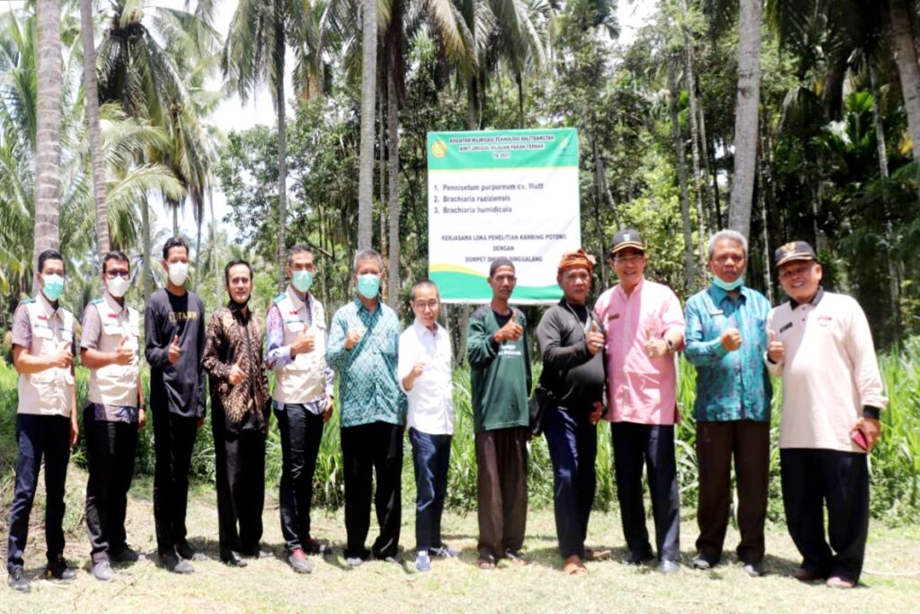 Group of men in masks and casual attire posing outdoors in a palm grove, standing in a line in front of a banner.