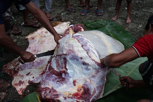 People cutting a large animal carcass on banana leaves, exposing red and white meat on the ground.